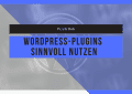 Installation und Nutzung von WordPress-Plugins 3